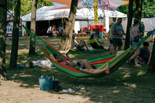 Foto's, Sziget Festival, 14 augustus 2023, Óbudai-sziget, Budapest