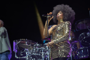 foto Bospop, 12 juli 2025, Evenemententerrein A2 Weert Noord, Weert #1017835