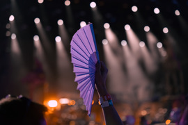 Sziget Festival foto