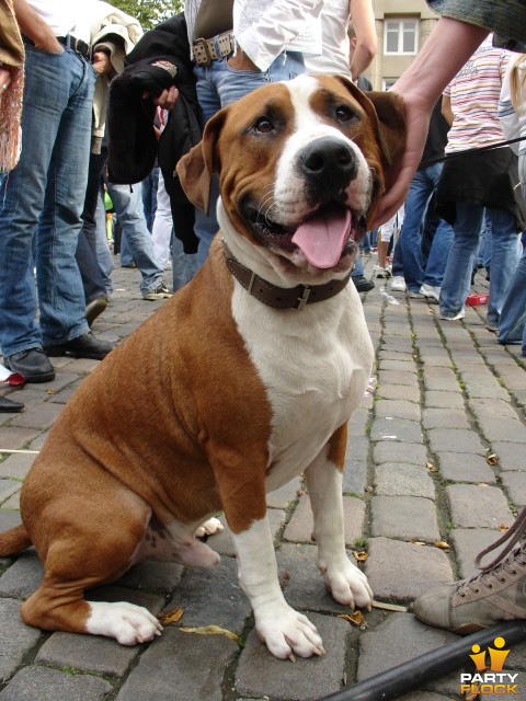 foto Boomin´ Berend, 28 augustus 2005, Vismarkt