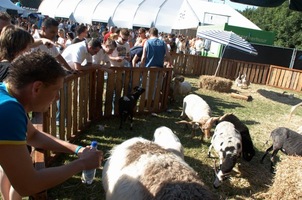 foto Awakenings, 1 juli 2006, Spaarnwoude, deelplan Houtrak, Halfweg #263421