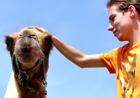 foto Awakenings, 1 juli 2006, Spaarnwoude, deelplan Houtrak, Halfweg #263665