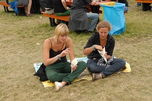 foto A Campingflight to Lowlands Paradise 2008 zondag, 15 augustus 2008, Walibi Holland, Biddinghuizen #447585