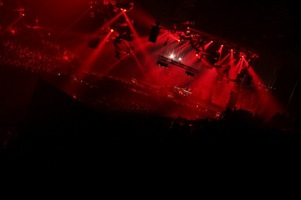 foto Reverze, 31 januari 2009, Sportpaleis Antwerpen, Antwerpen #486491