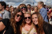 VOLTT loves summer festival foto