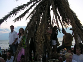 foto Beachbop, 27 juli 2003, De Kust, Bloemendaal aan zee #57278