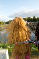 foto Tomorrowland, 22 juli 2011, Schorre, Boom #667090