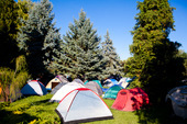 Sziget Festival foto