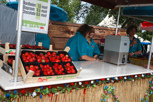 foto Outdoor Stereo Festival, 20 augustus 2011, Julianapark, Hoorn #674358