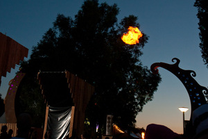 foto The Qontinent, 11 augustus 2013, Puyenbroeck, Wachtebeke #790612