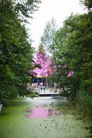 Mysteryland foto