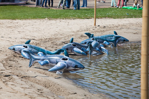 foto Wildness Festival, 17 mei 2014, Wijthmenerplas, Zwolle #830367