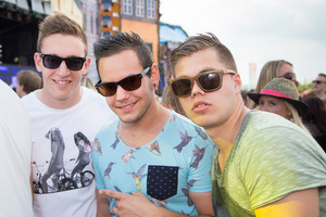 foto Dreamfields Festival, 21 juni 2014, Rhederlaag, Lathum #835696