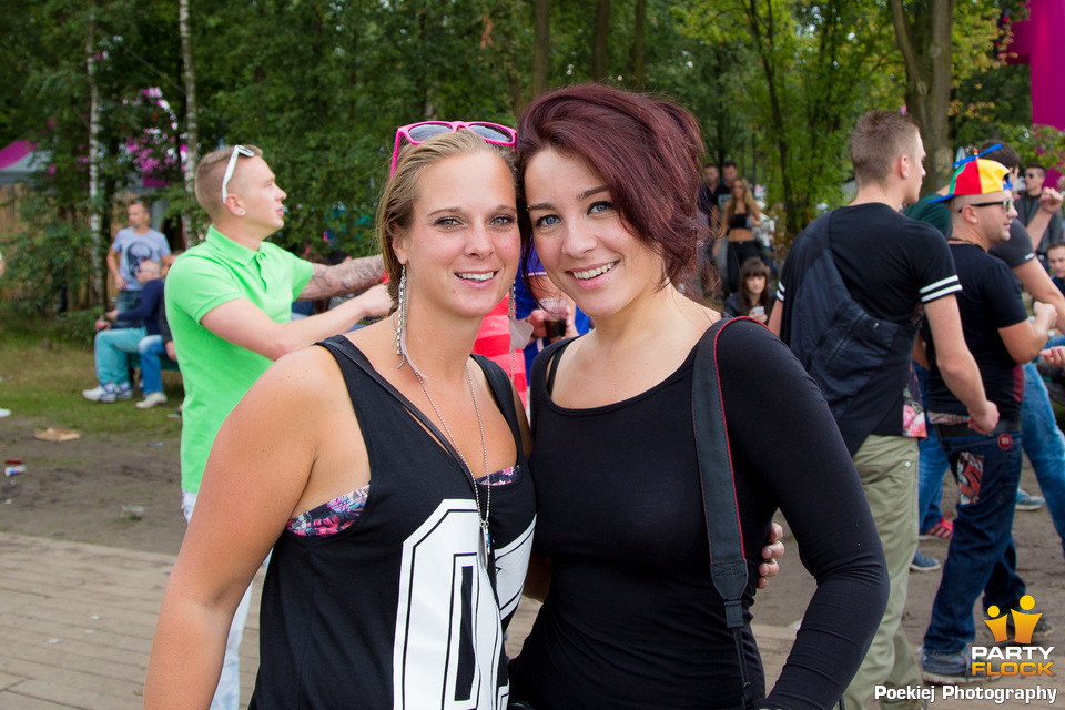 foto Decibel Outdoor, 16 augustus 2014, Beekse Bergen