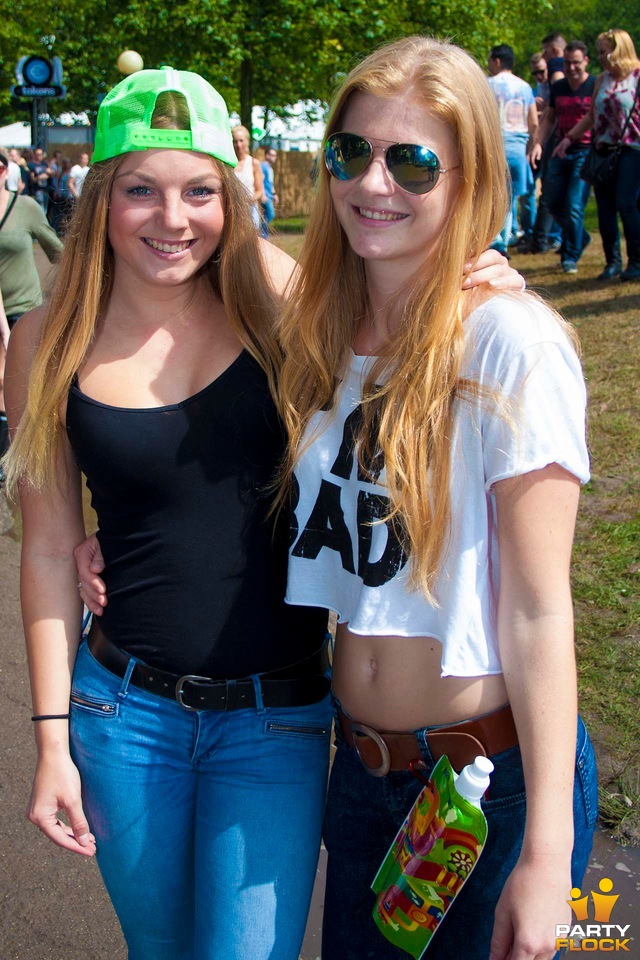 foto Decibel Outdoor, 16 augustus 2014, Beekse Bergen