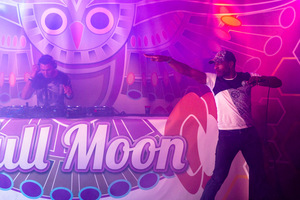 foto Full Moon Festival, 6 juni 2015, Peddelpoel, Spaarnwoude #872369