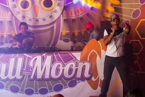 foto Full Moon Festival, 6 juni 2015, Peddelpoel, Spaarnwoude #872420