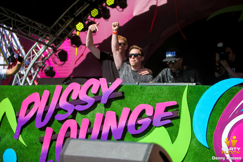 foto Pussy lounge at the Park, 6 juni 2015, Asterdplas, met Ruthless, Hardwell, The Darkraver