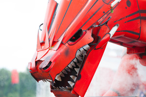 foto Defqon.1 festival, 20 juni 2015, Walibi Holland, Biddinghuizen #874570