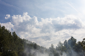 Verknipt festival foto