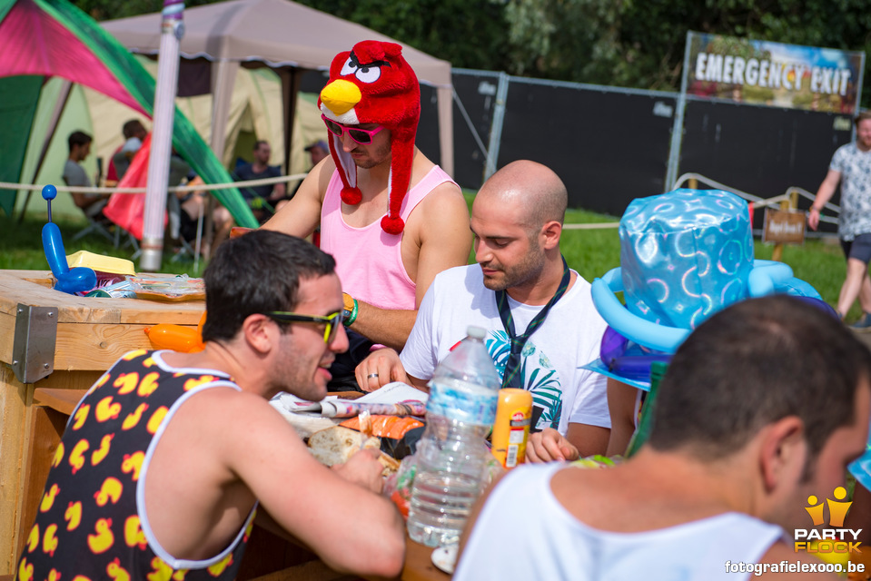 foto Tomorrowland, 25 juli 2015, Schorre