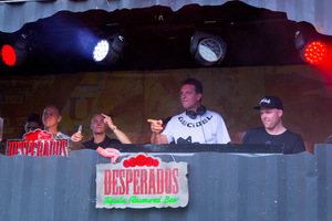 foto Decibel outdoor - the festival, 15 augustus 2015, Beekse Bergen, Hilvarenbeek #881843