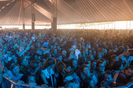 Lowlands foto