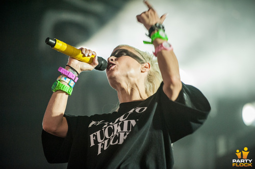 Die Antwoord