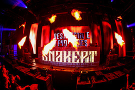 Snakepit foto