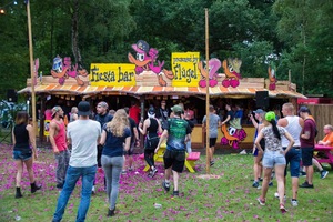 foto Decibel outdoor, 18 augustus 2017, Beekse Bergen, Hilvarenbeek #924802