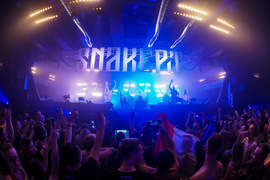 Snakepit foto