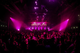 Snakepit foto