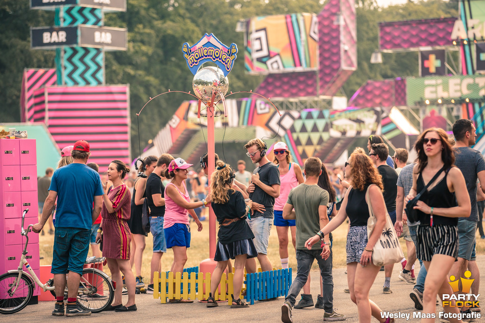 foto We Are Electric, 7 juli 2018, Landgoed Velder