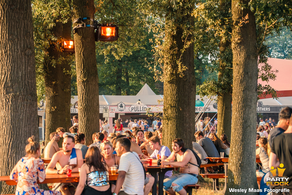 foto We Are Electric, 7 juli 2018, Landgoed Velder