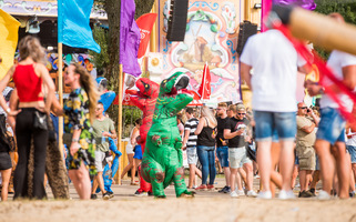 foto Dreamfields Festival, 7 juli 2018, Rhederlaag, Lathum #943227