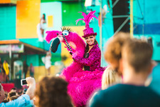 Foto's, Dance Valley, 11 augustus 2018, Spaarnwoude, Velsen-Zuid