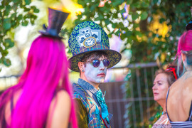 Crazy Wonderland Festival foto