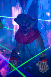 Crazyland foto