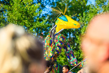 Foto's, Mysteryland, 25 augustus 2019, Voormalig Floriadeterrein, Hoofddorp