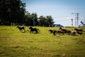 foto Dance Parade, 14 september 2019, Hooge Veenen, Nieuwerkerk aan den IJssel #964827