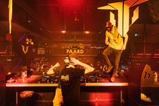 Foto's, Project Uptempo, 11 maart 2023, Paard, Den Haag