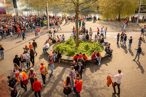 foto Oranjebloesem, 27 april 2023, Olympisch Stadion, Amsterdam #993944