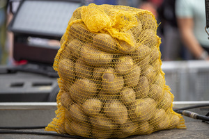 foto Smashed Potatoes, 5 augustus 2023, BillyBird Park Drakenrijk, Reuver #998984